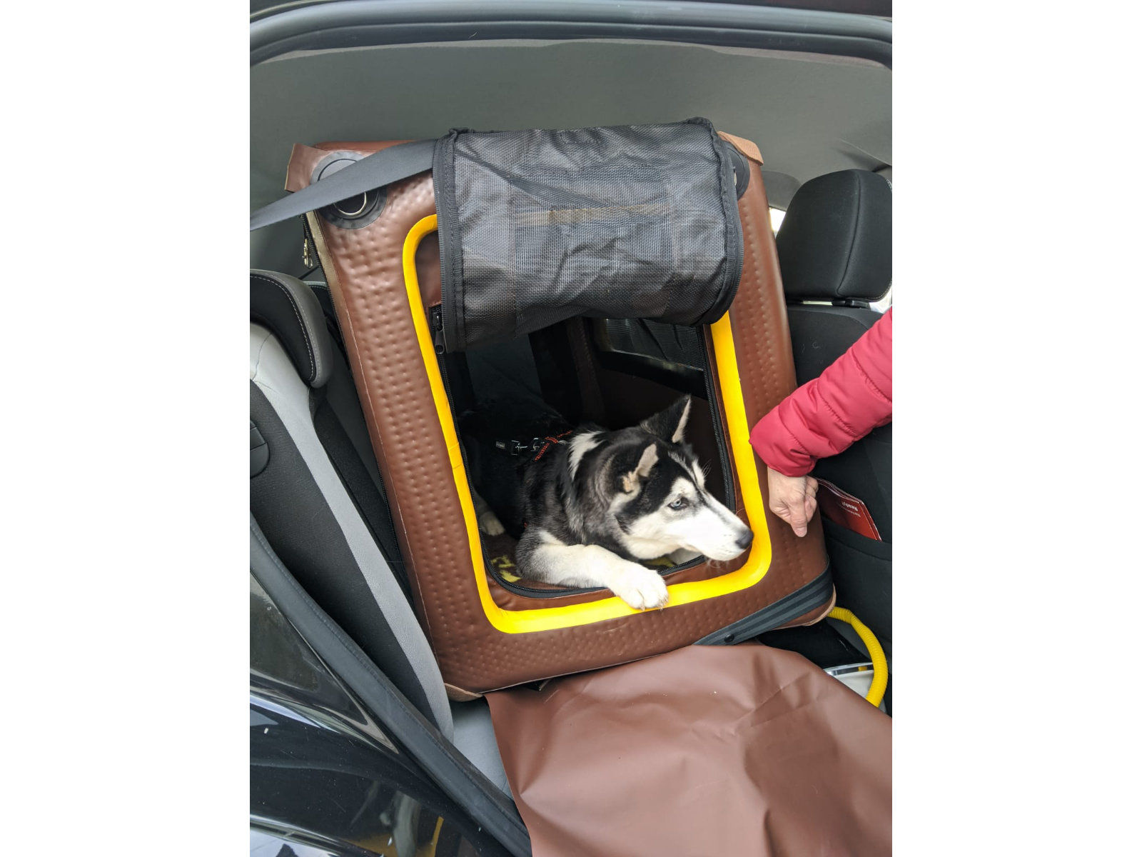Rücksitz-Hundebox Transportbox Größe Bs S-Bs L - Auto & Home Tami Hundebox Backseat aufblasbar mit Airbagfunktion