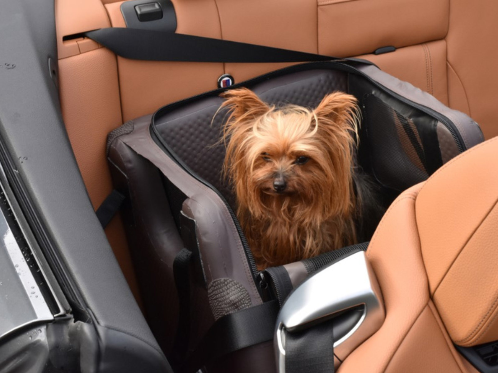 2-tami-dogbox_front_seatbox_faltbare_aufblasbare_tragbare_vordersitz_hundebox_airbagfunktion_26177-400.000.001_8