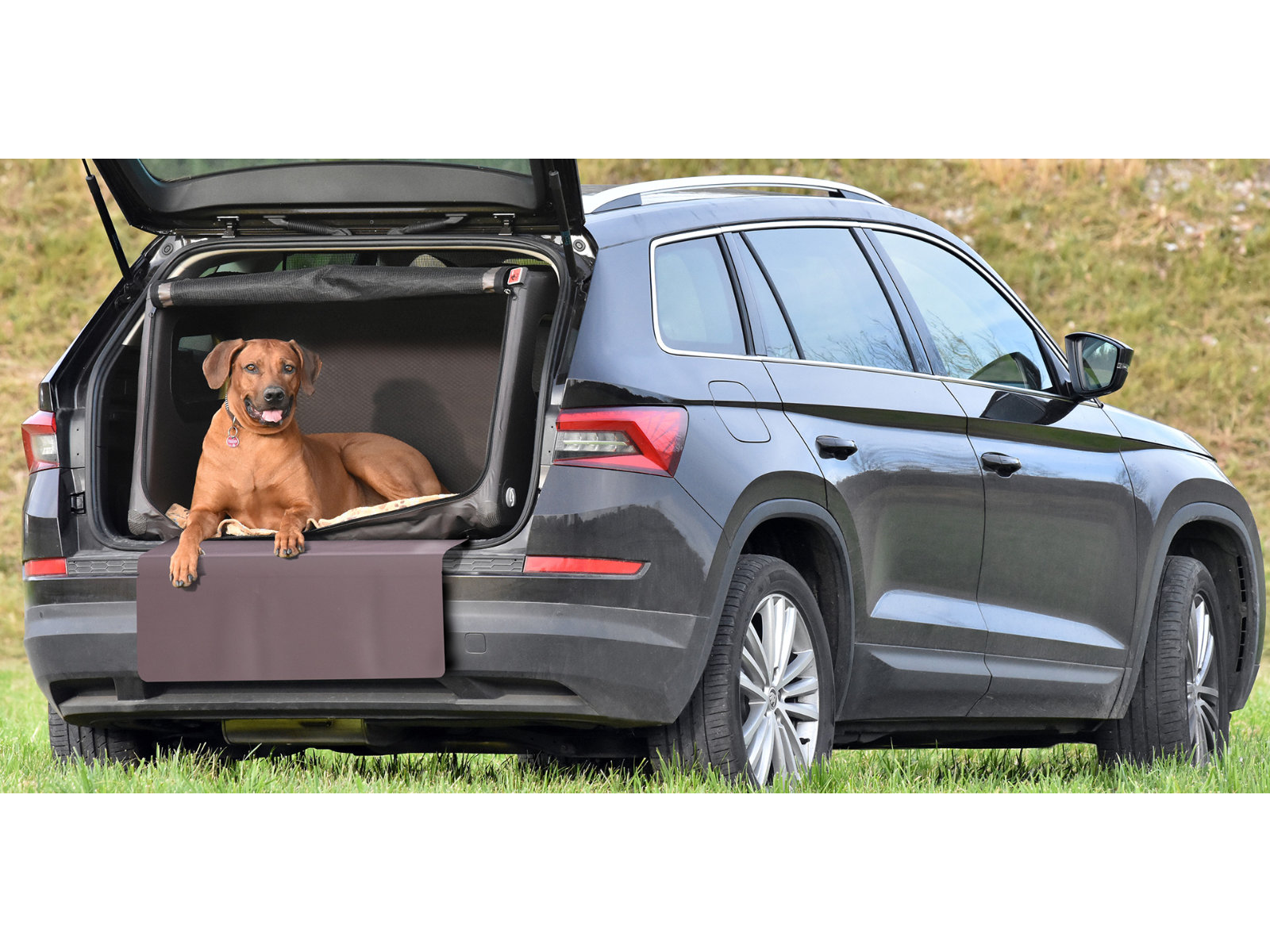 Vordersitz-Hundebox Sb Transportbox Beifahrerseite mit Airbagfunktion für Motorrad, Auto und Home Tami Seatbox