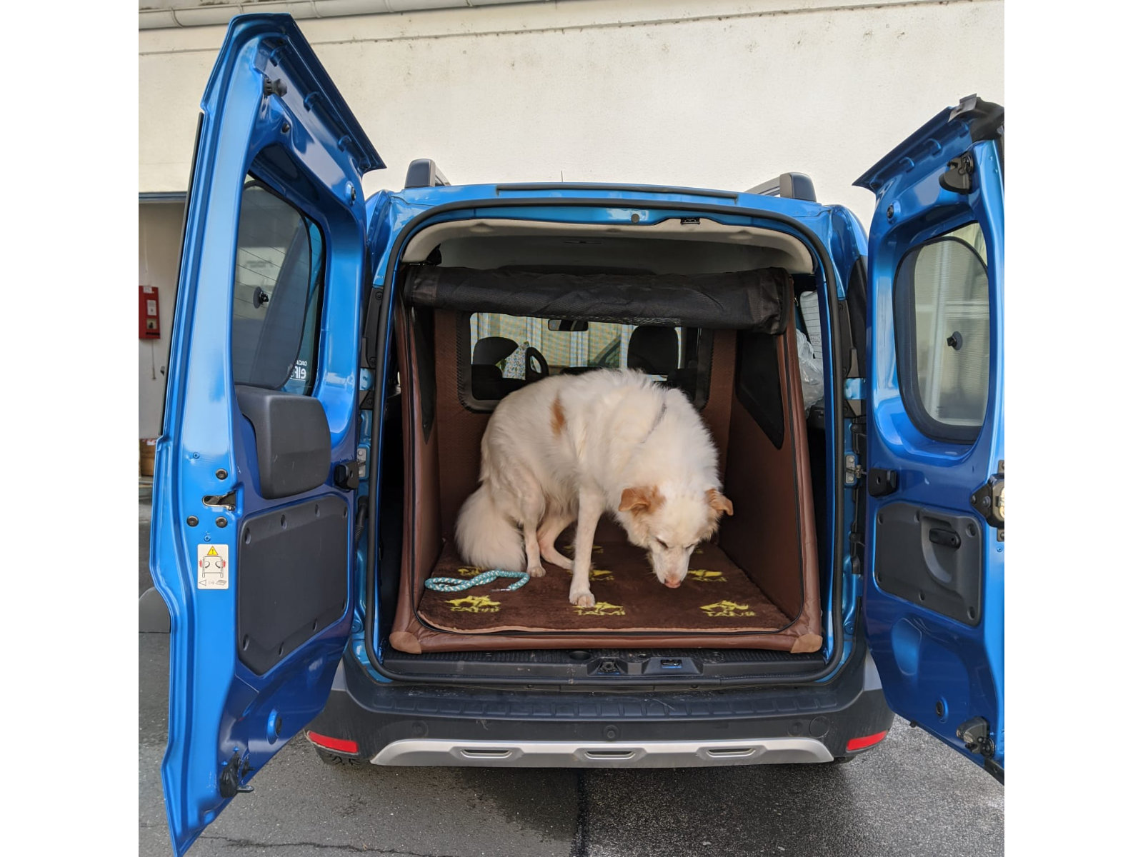Kofferraum-Hundebox Transportbox Größe S-XXL - aufblasbar mit Airbagfunktion Tami für Auto und Home