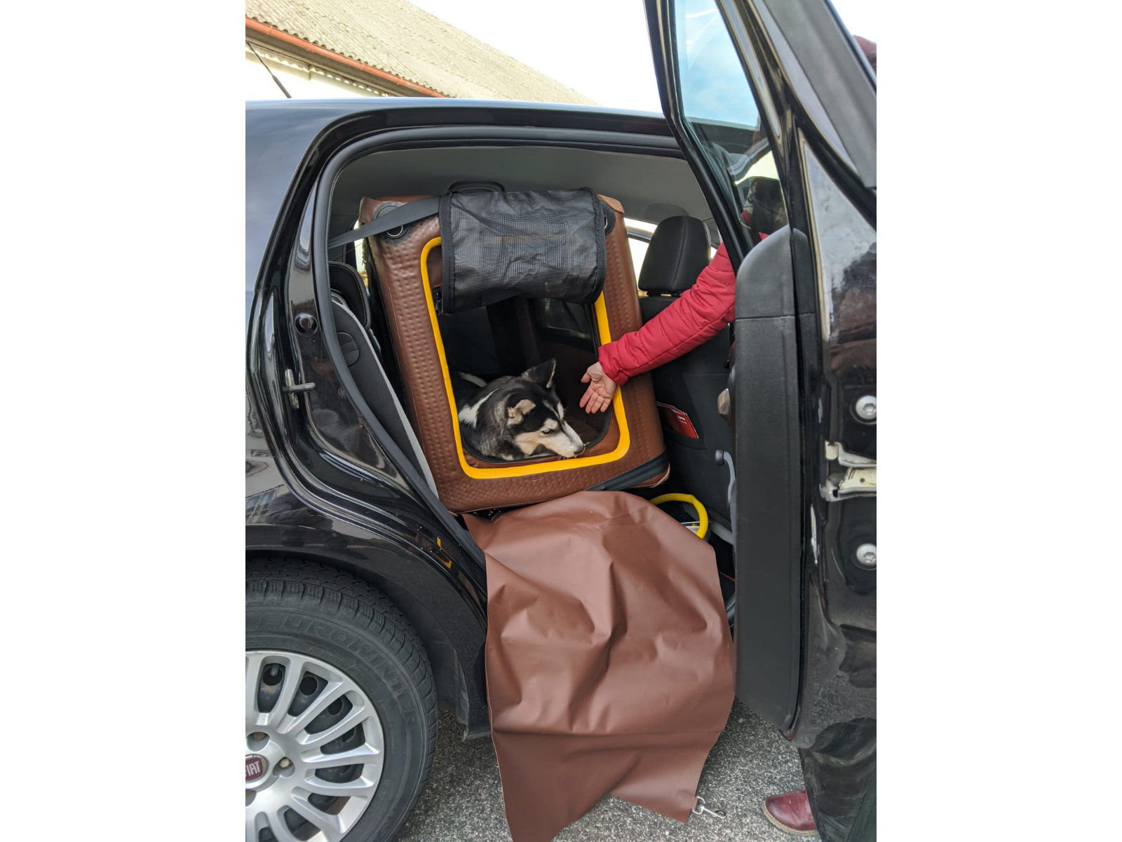 Rücksitz-Hundebox Transportbox Größe Bs S-Bs L - Auto & Home Tami Hundebox Backseat aufblasbar mit Airbagfunktion