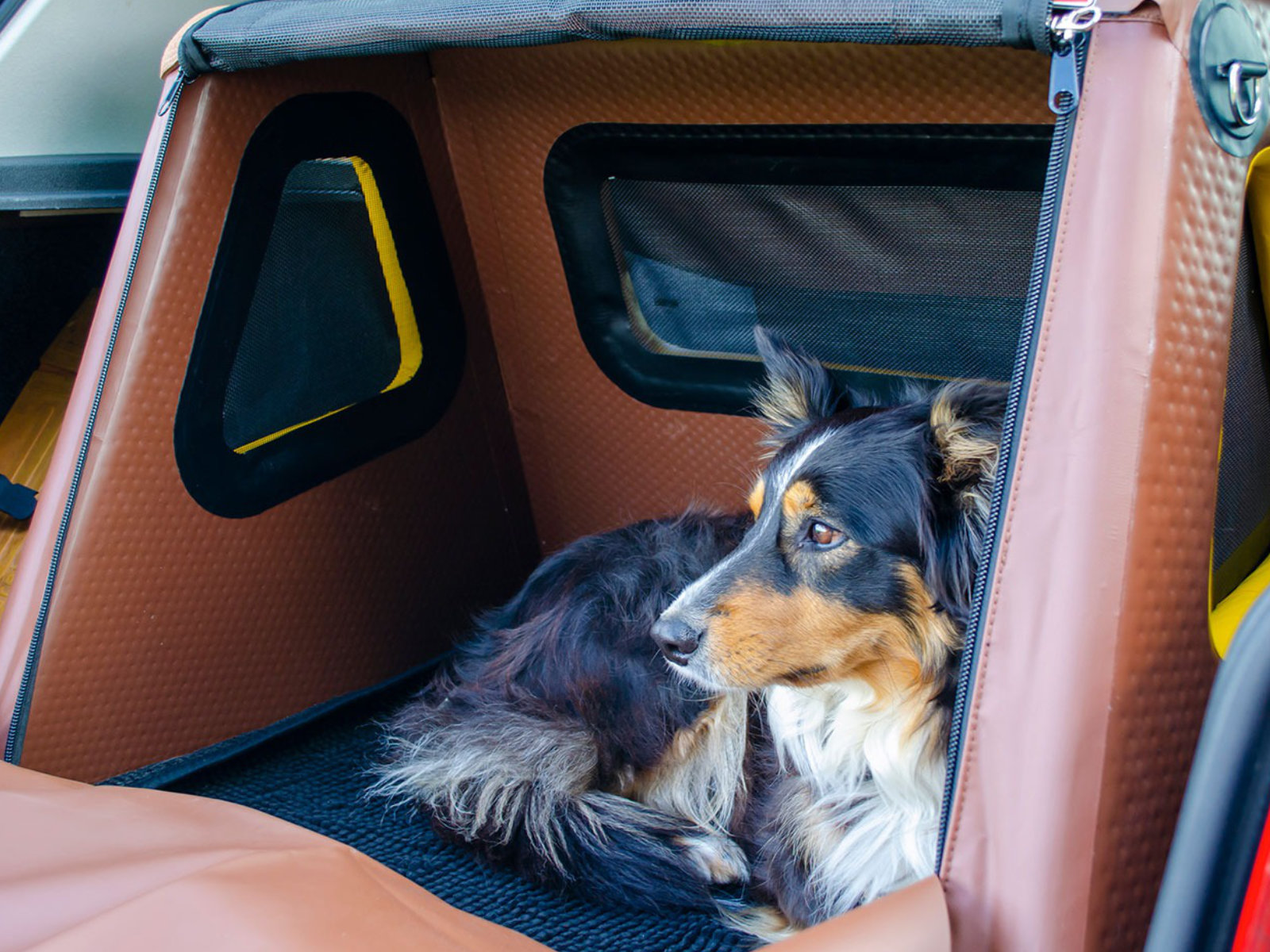 Kofferraum-Hundebox Transportbox Größe S-XXL - aufblasbar mit Airbagfunktion Tami für Auto und Home