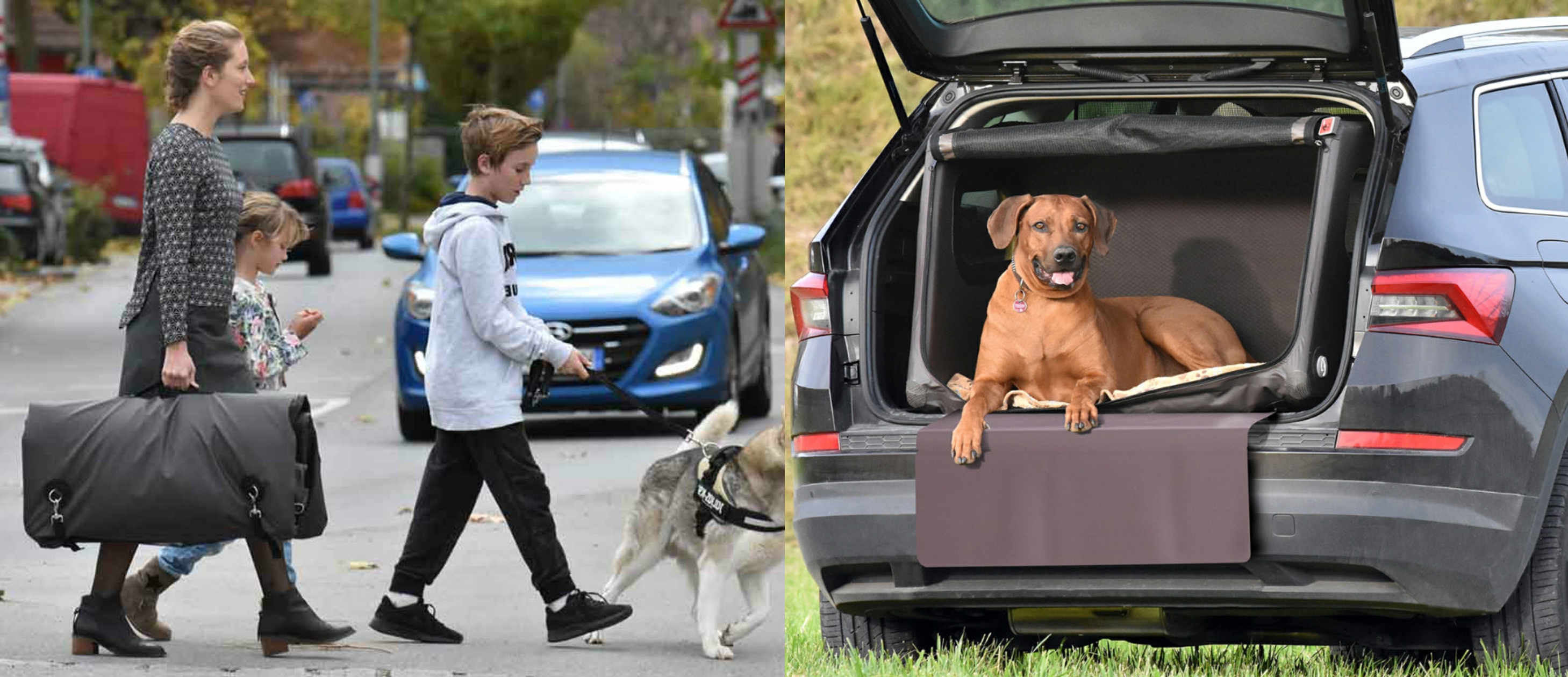 Shop-Werbebanner_allgemein-12