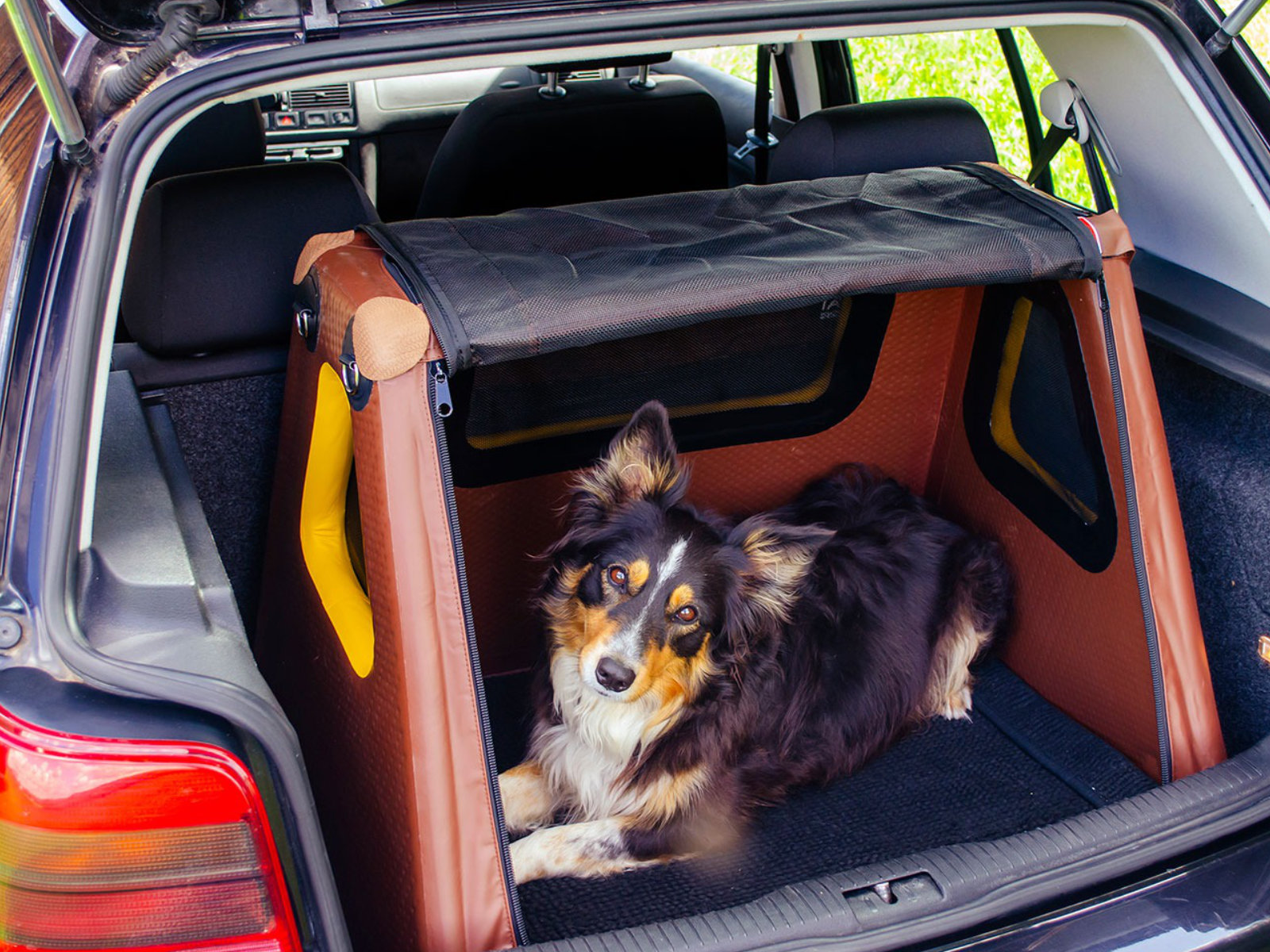 Kofferraum-Hundebox Transportbox Größe S-XXL - aufblasbar mit Airbagfunktion Tami für Auto und Home