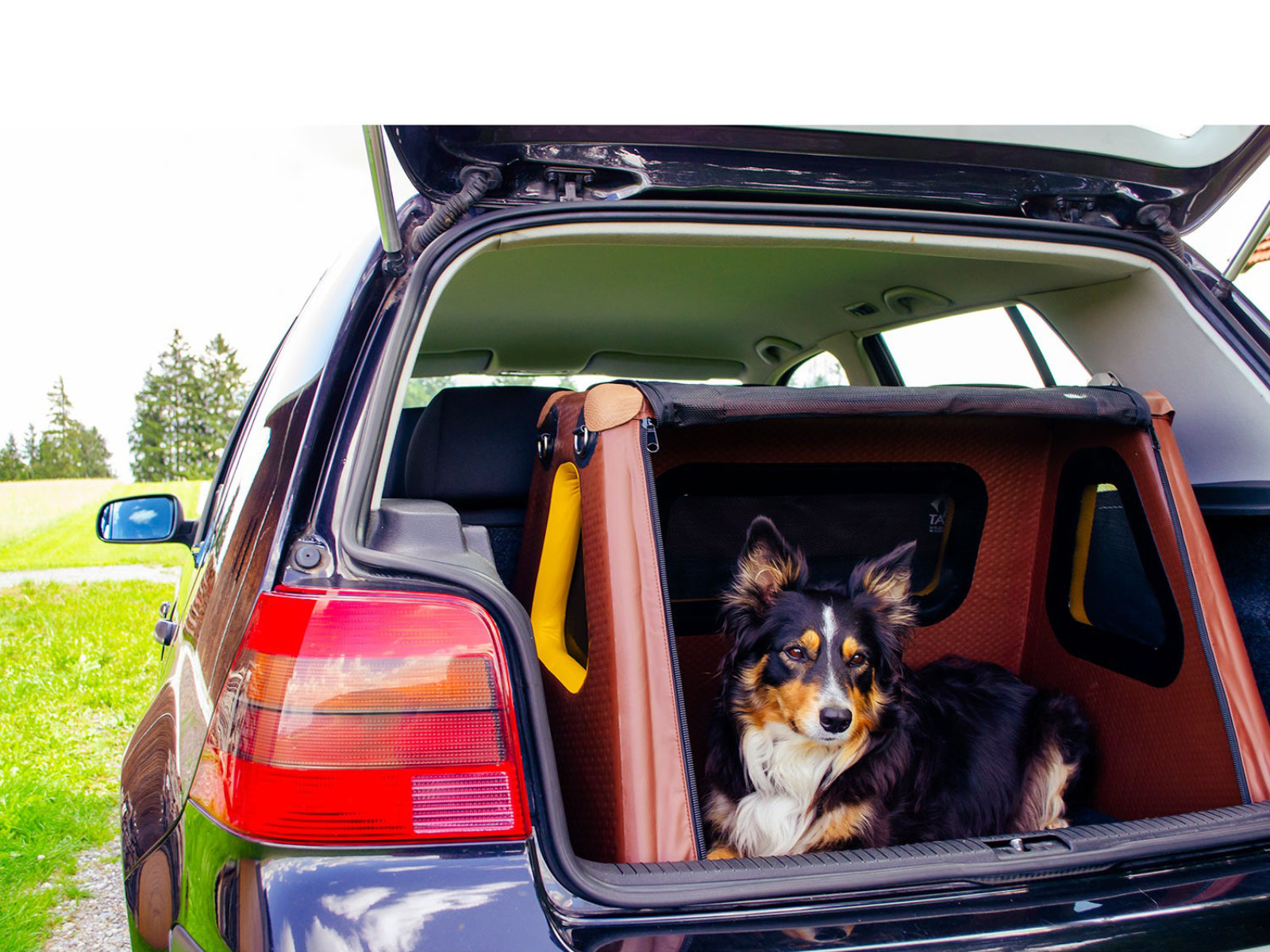 Kofferraum-Hundebox Transportbox Größe S-XXL - aufblasbar mit Airbagfunktion Tami für Auto und Home