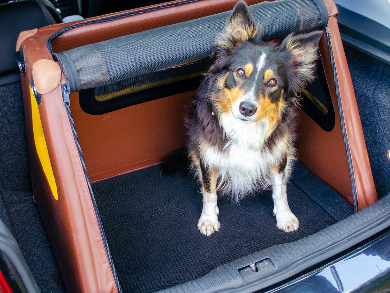 Kofferraum-Hundebox Transportbox Größe S-XXL - aufblasbar mit Airbagfunktion Tami für Auto und Home