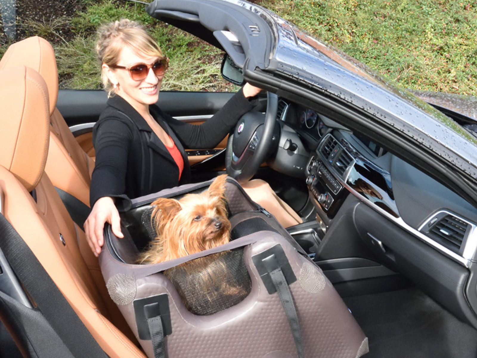 Vordersitz-Hundebox Sb Transportbox Beifahrerseite mit Airbagfunktion für Motorrad, Auto und Home Tami Seatbox
