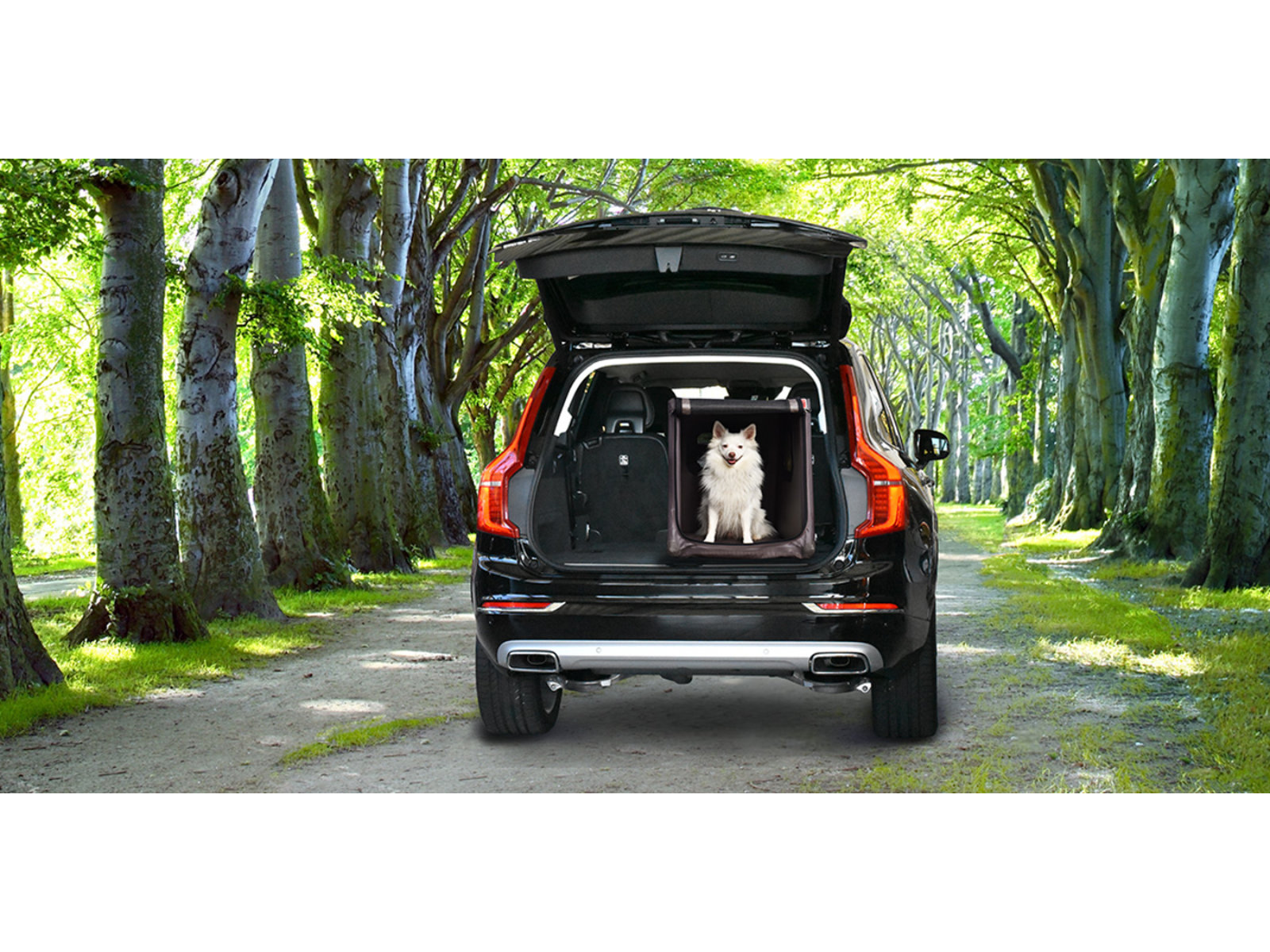 Kofferraum-Hundebox Transportbox Größe S-XXL - aufblasbar mit Airbagfunktion Tami für Auto und Home